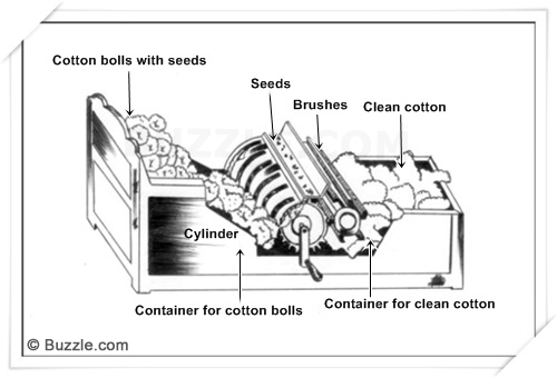 cotton gin in the industrial revolution